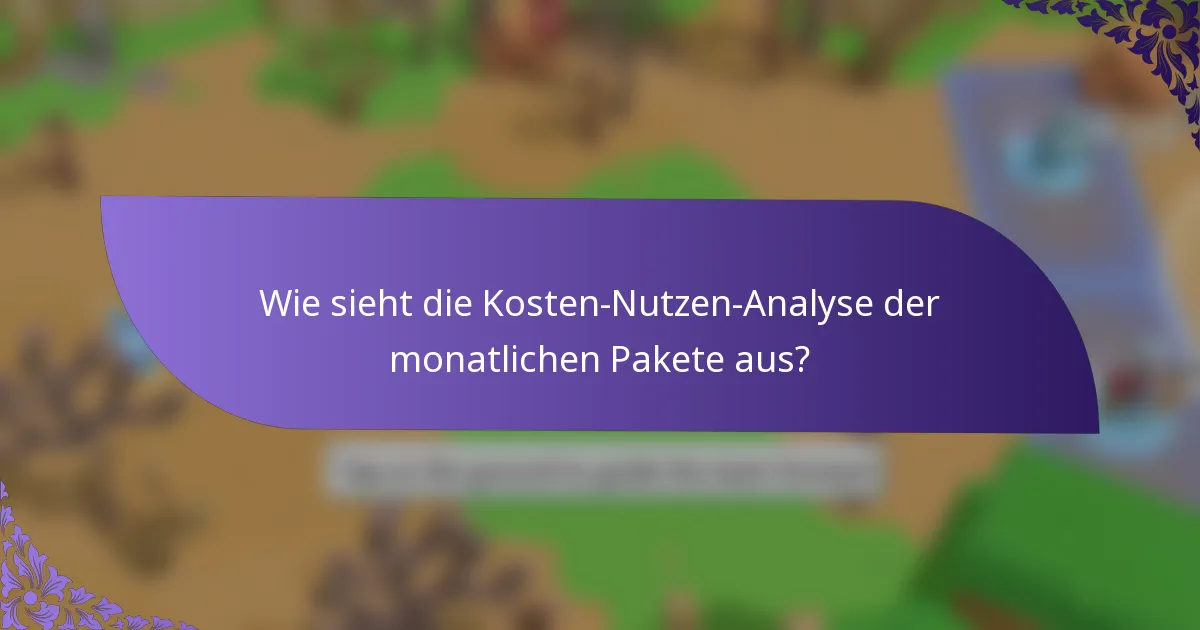 Wie sieht die Kosten-Nutzen-Analyse der monatlichen Pakete aus?